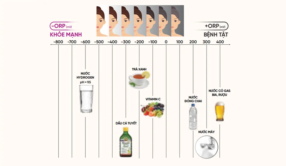 chi-so-orp-500mv-chung-minh-nuoc-ion-kiem-co-kha-nang-chong-oxy-hoa-hieu-qua-5