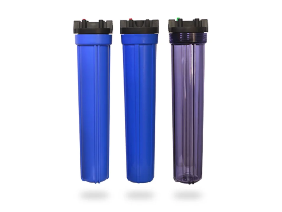 coc-loc-ro-la-coc-loc-lon-nhat