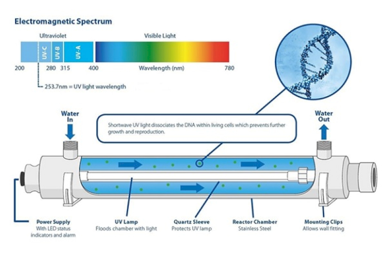 UV lamps destroy and prevent the growth of bacteria and viruses by destroying their genetic structure.