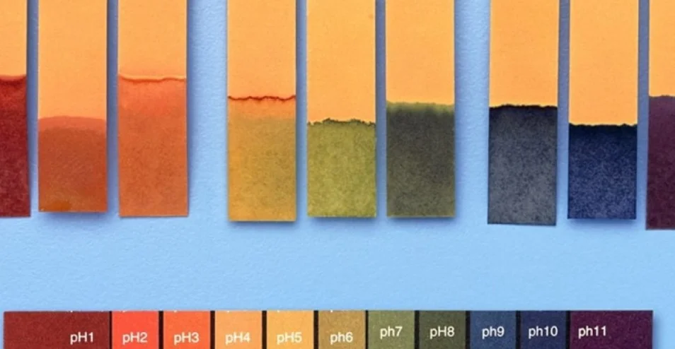 Using litmus paper is the simplest way to identify alkaline water.