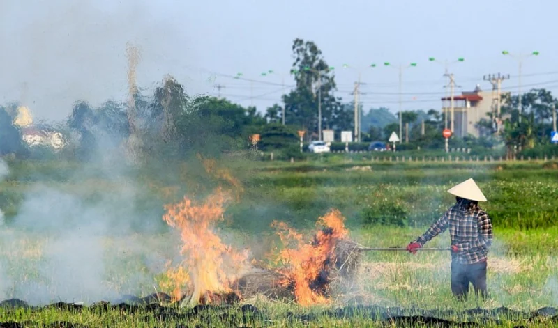 Agricultural activities affect water quality