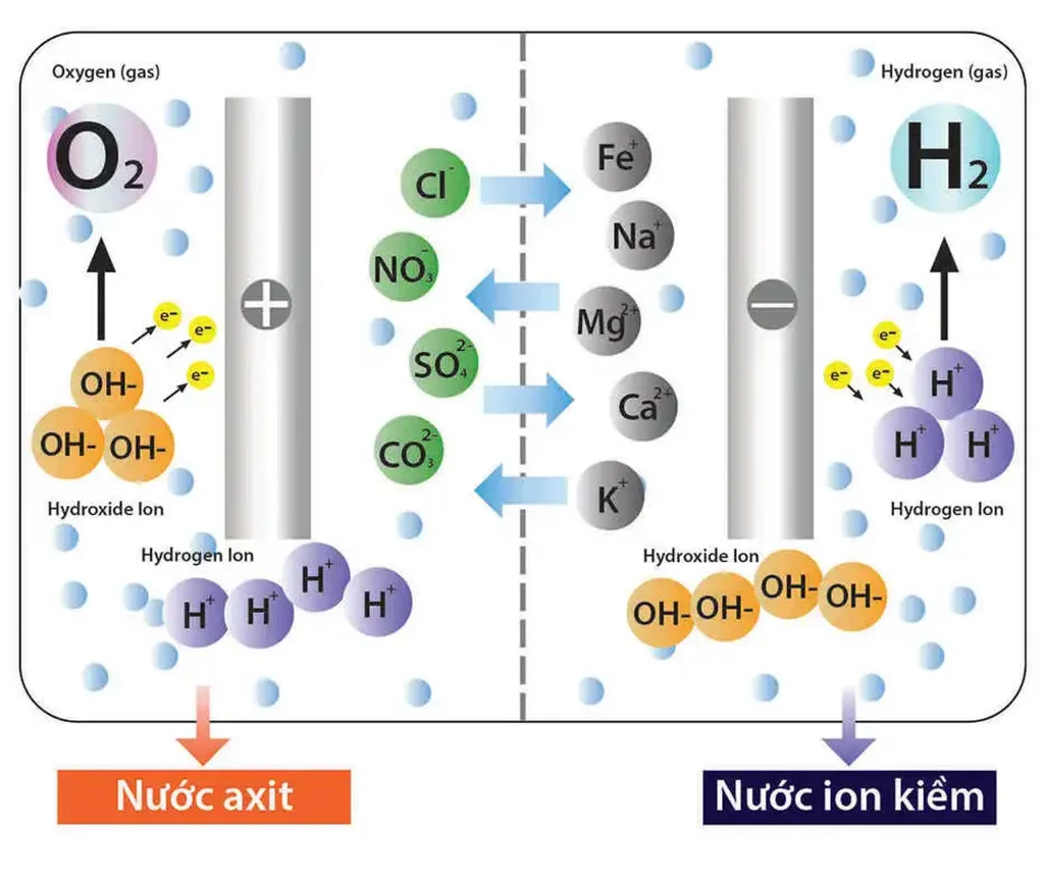 So sánh nước từ trường và nước ion kiềm, nên sử dụng nguồn nước nào?