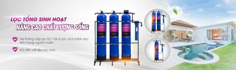 Install a total filtration system to remove iron ions in domestic water sources.