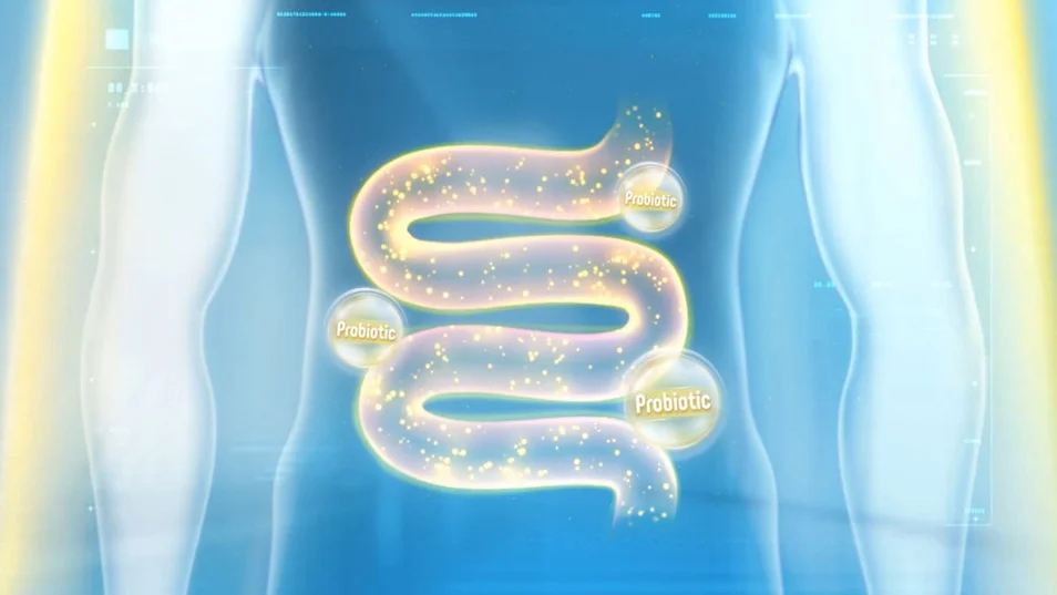 lieu-luong-loi-khuan-duoc-tinh-bang-don-vi-cfu-1