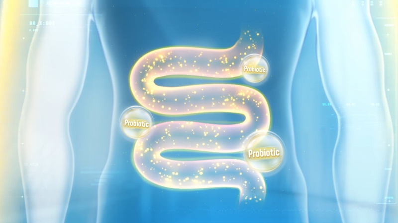 Vi khuẩn có lợi là gì? Gợi ý TOP 3 cách bổ sung lợi khuẩn