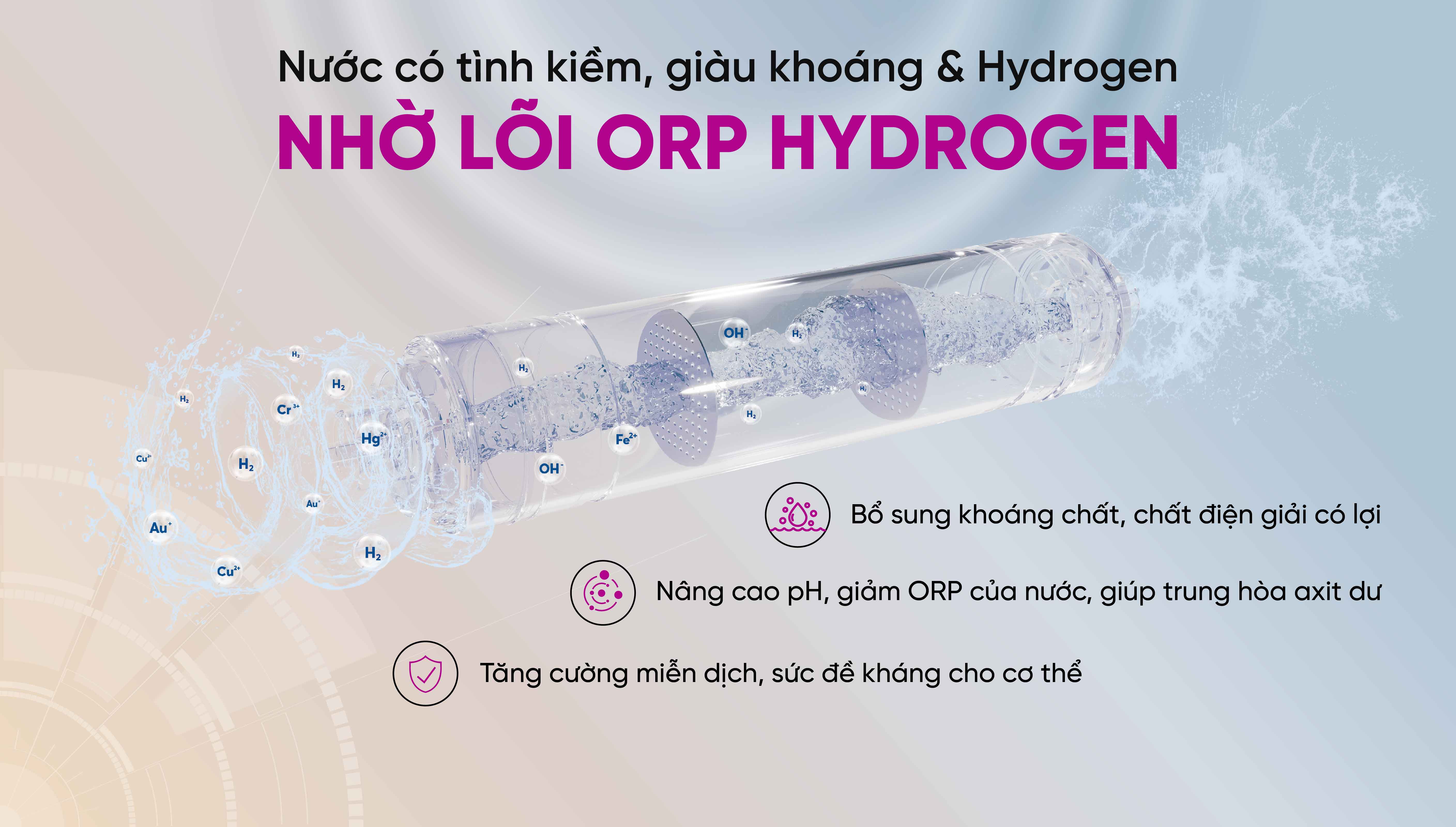 may-loc-nuoc-mutosi-mp-s1005-12