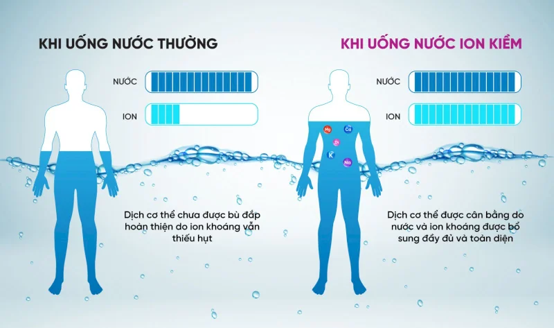 Nước khoáng và nước tinh khiết loại nào tốt hơn? So sánh chi tiết