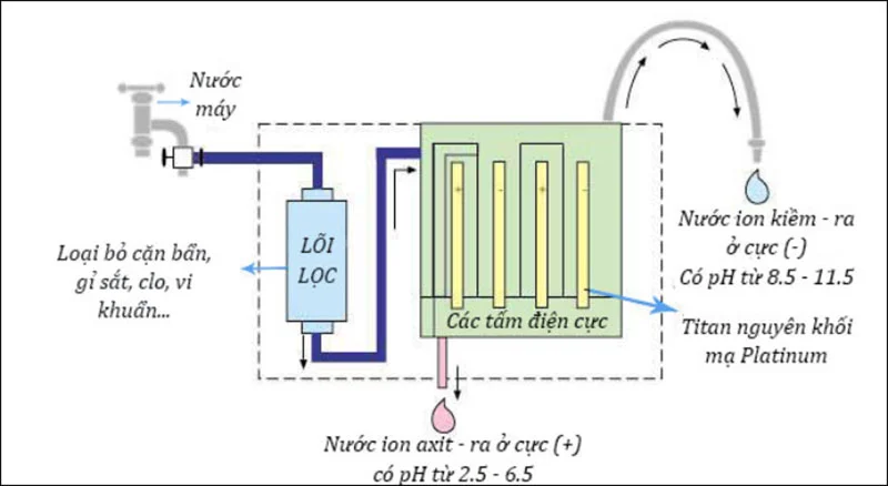 Electrode plates are considered the heart of alkaline ionized water purifier, indispensable in the electrolysis process.