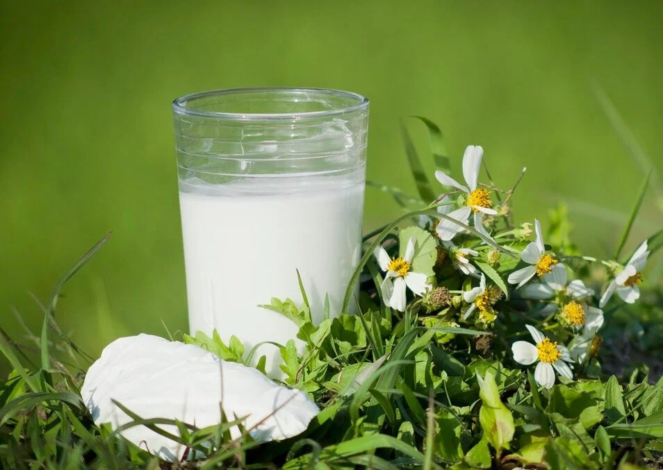 nuoc-san-day-voi-nhieu-loi-ich-tuyet-voi-9