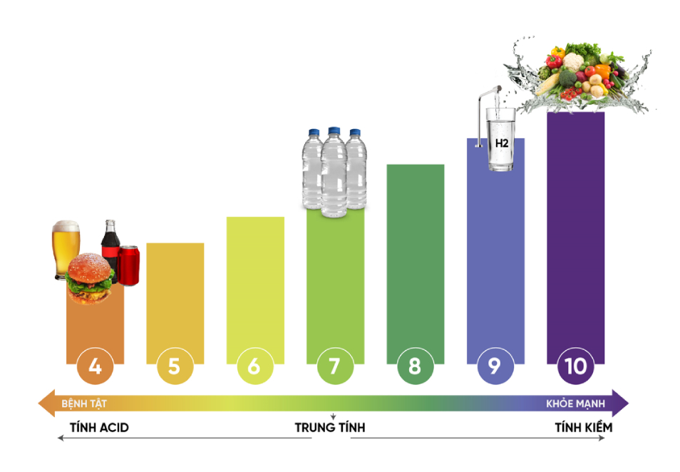 Alkaline water sources will give a color on the test strip corresponding to a scale of 8-14.