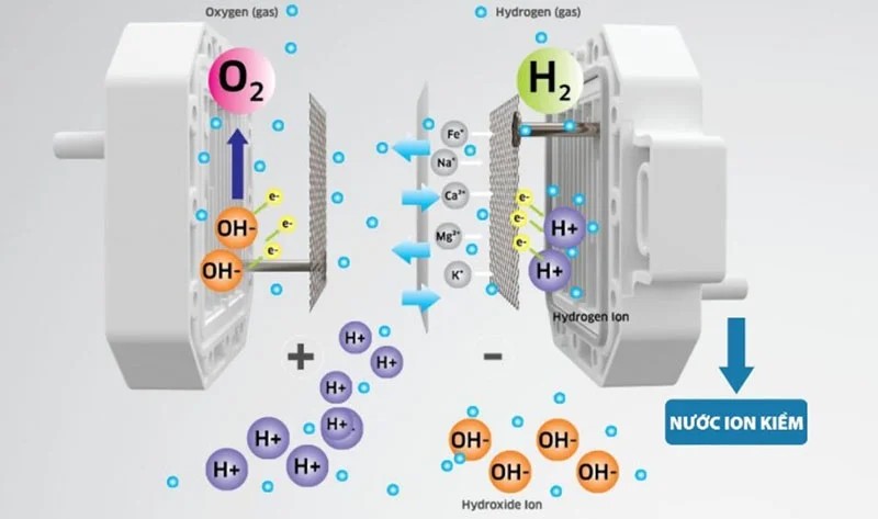 The electrode plate is an extremely important part in the process of creating alkaline ionized water.