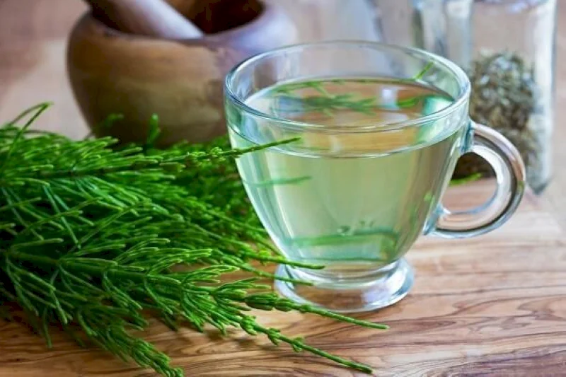 Horsetail tea not only helps protect the kidneys but also helps relax effectively.