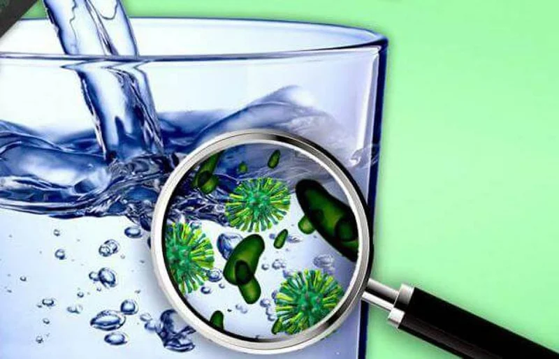 Vi khuẩn Coliform tồn tại trong môi trường nước