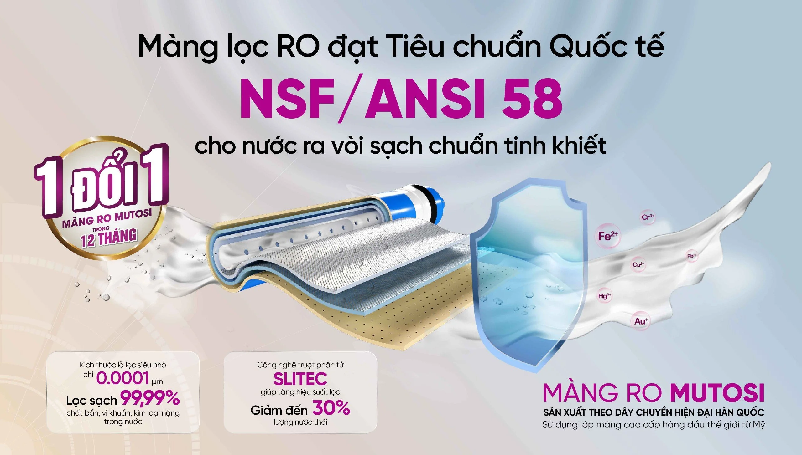 z5054640859346-8c23ecc408ebb6da288f20844f4535f7