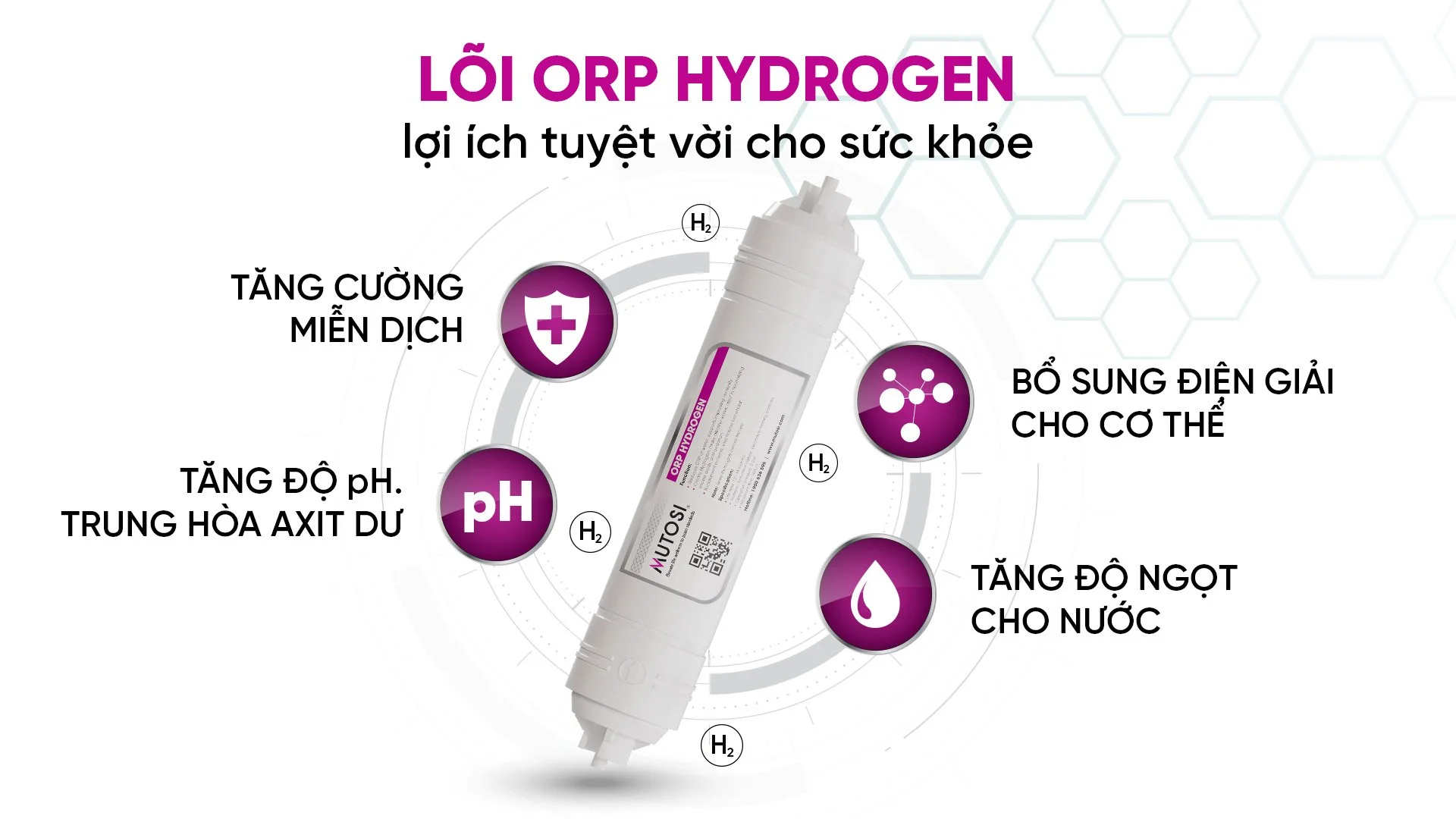 z5054640859401-b50f089d622ca16e37e78e7b4a342c4a