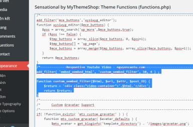 Respontive Video Youtube trên Wordpress (Không dùng Plugin)