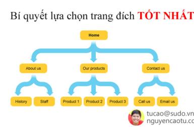 Cách lựa chọn trang đích trong Website để SEO