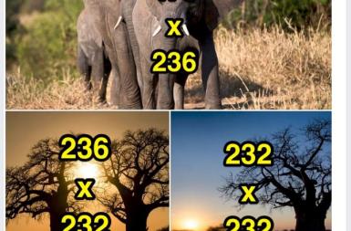 Kích thước ảnh trên facebook (ảnh share và quảng cáo)