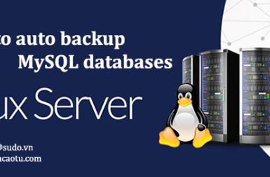 [Script] Hướng dẫn Backup Database trên VPS tự động
