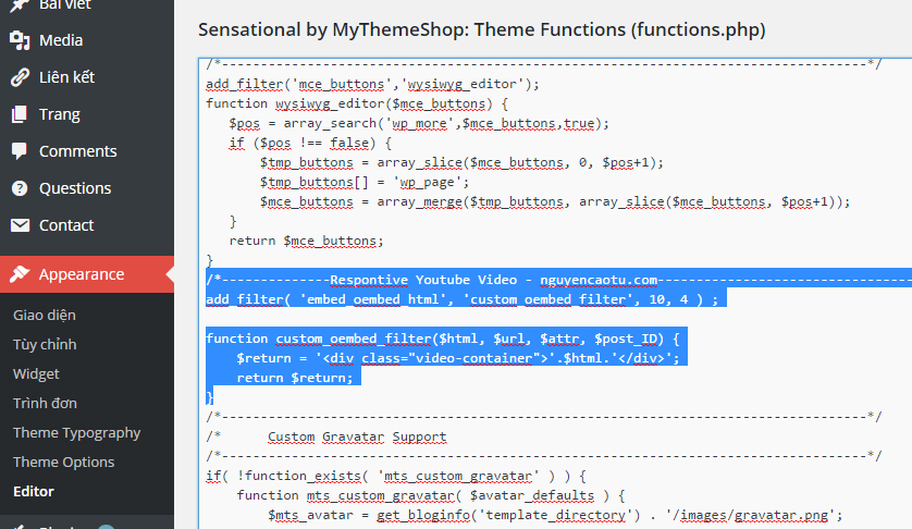 Respontive Video Youtube trên Wordpress (Không dùng Plugin)