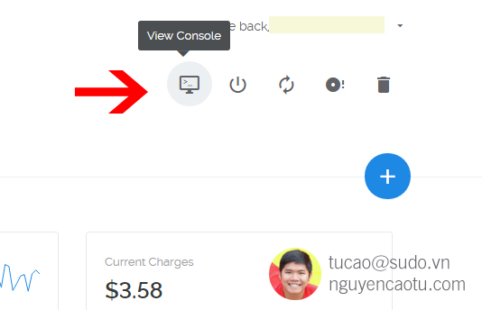 View Console Vultr.com