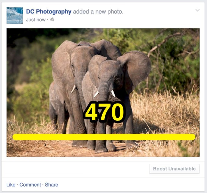 Share photo landscape