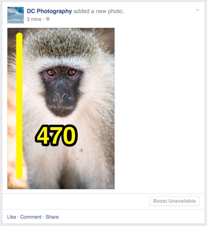 Share photo portrait