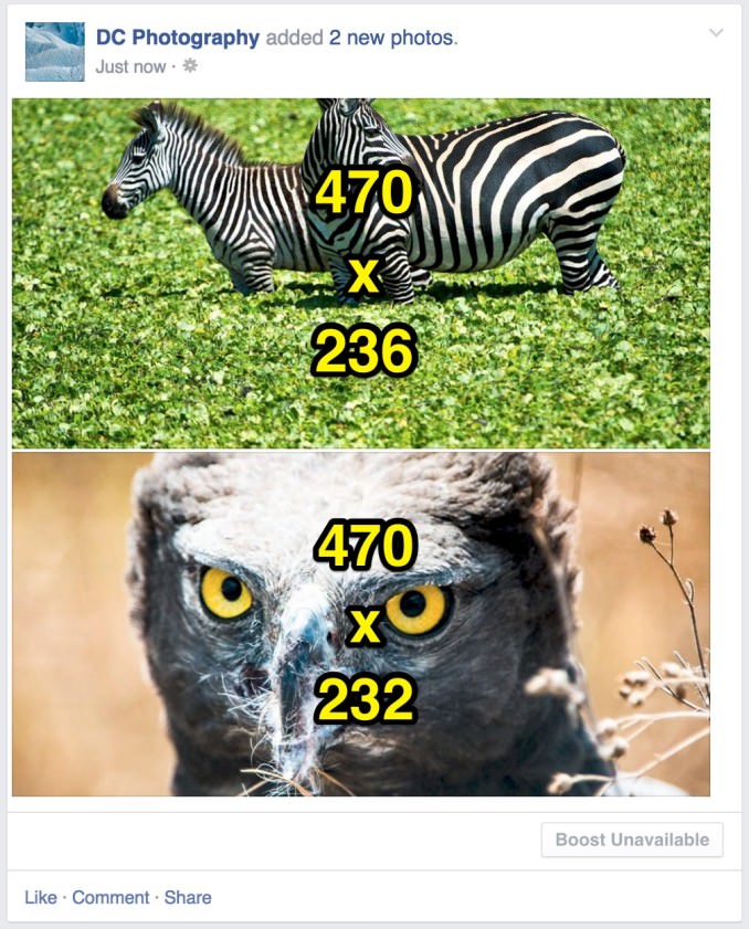 Share two photo landscape