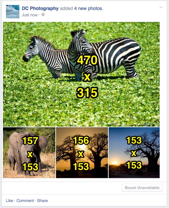 Ảnh đầu tiên là phong cảnh