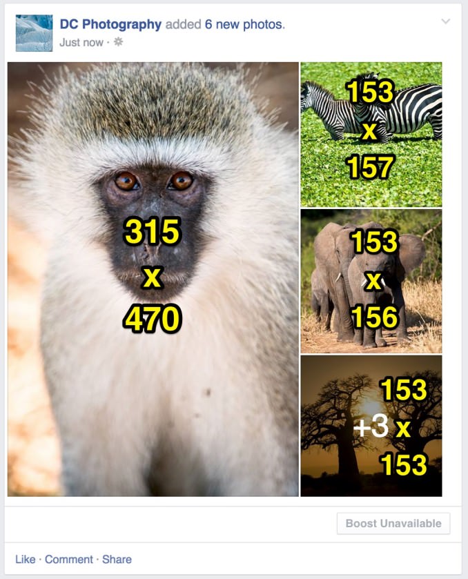 Chia sẻ 4 hình ảnh với ảnh đầu tiên là chân dung