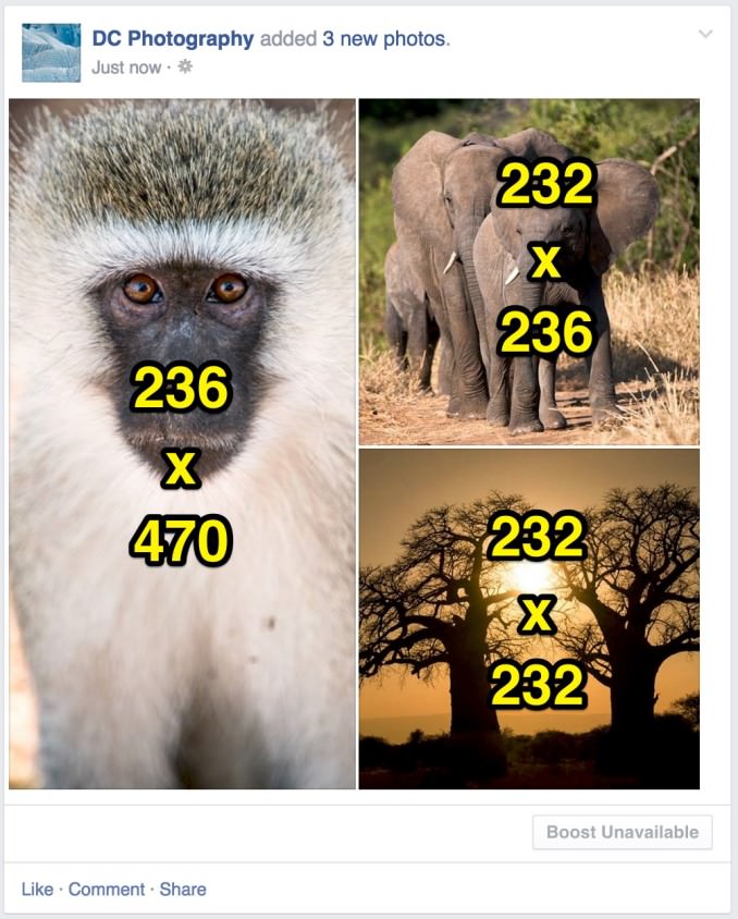 Chia sẻ 3 hình ảnh với kiểu chân dung