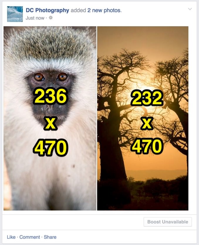 Share Photo portrait