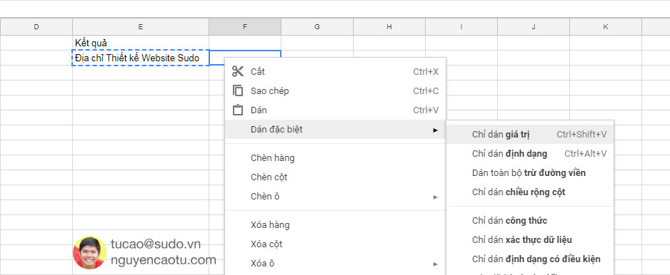 Copy qua 1 trường dữ liệu mới và chỉ dán giá trị.