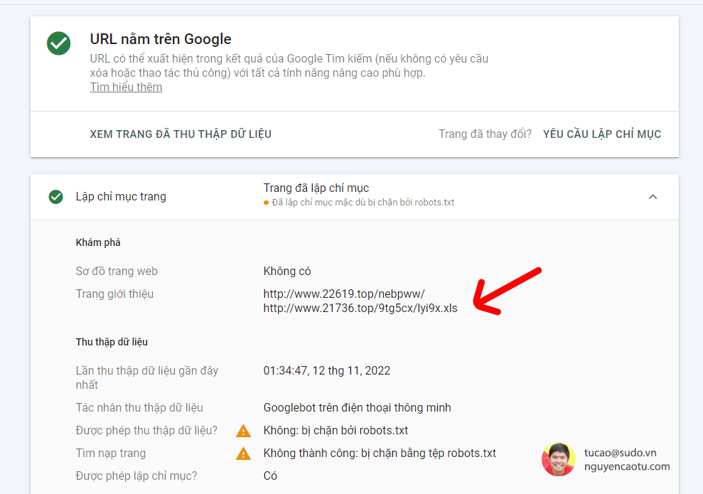 Google đọc ngày càng sâu và nhanh hơn