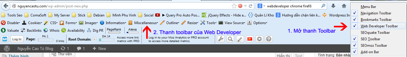 Toolbar Web developer