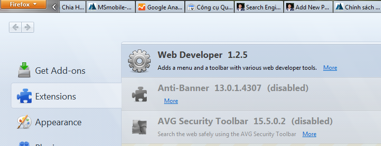 Hình ảnh đã cài đặt Web Developer trên firefox thành công Web develop