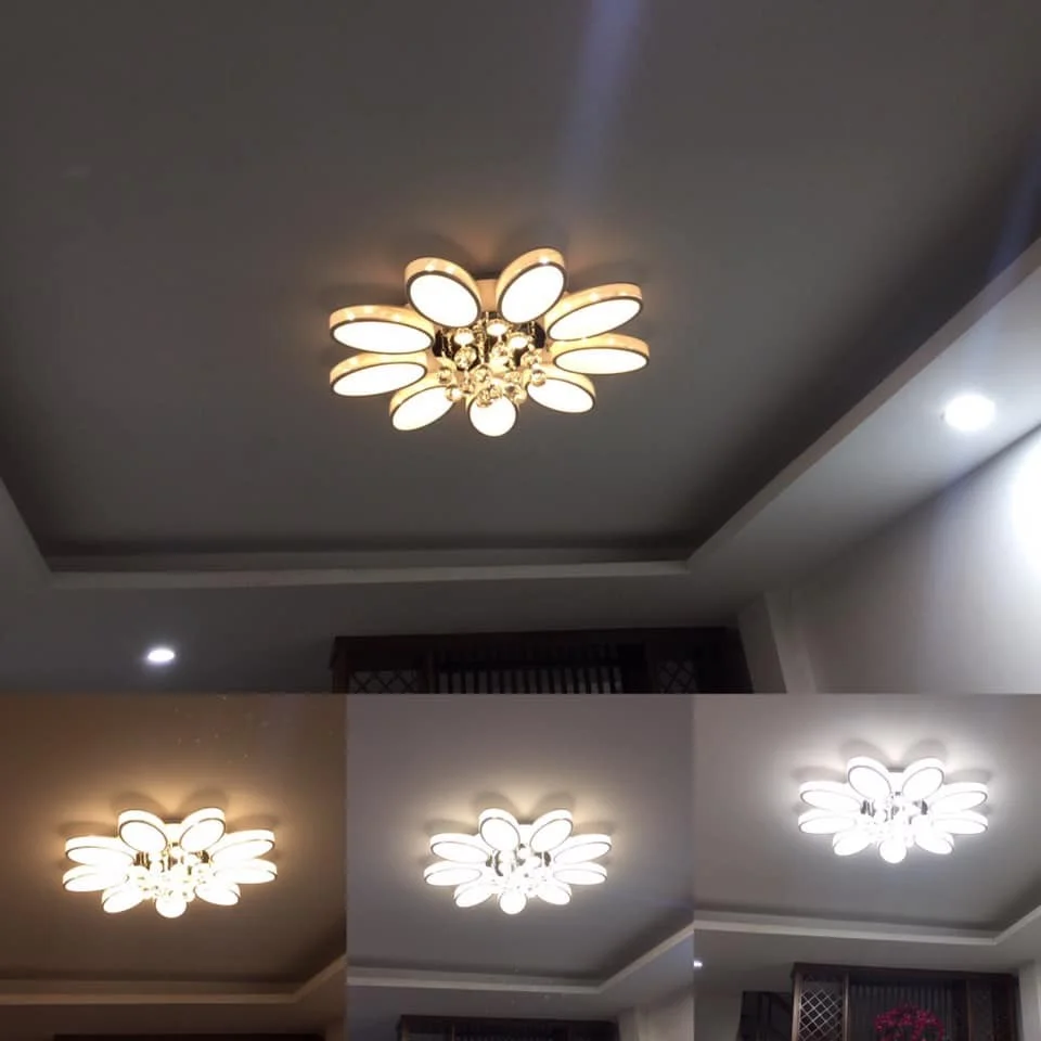 Đèn LED ốp trần Xari HTOP-20 | Ảnh 3