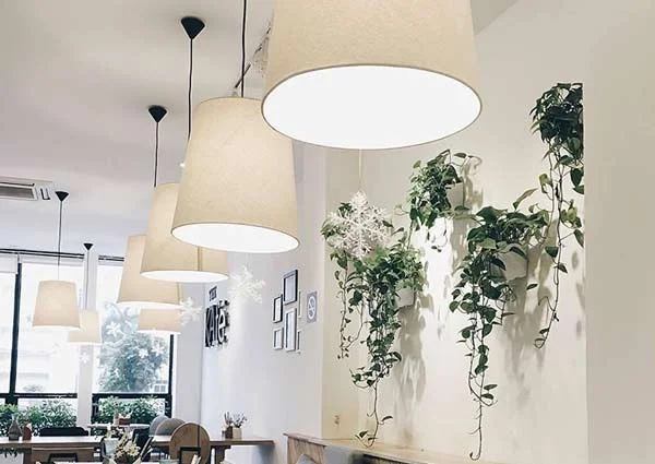 Đèn thả trần cafe có chóa - Đèn thả trần cà phê có chóa