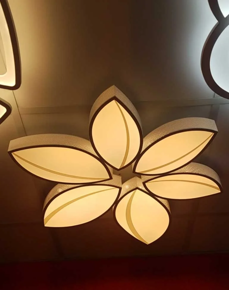 Đèn LED ốp trần Baby HTOP-13 | Ảnh 2