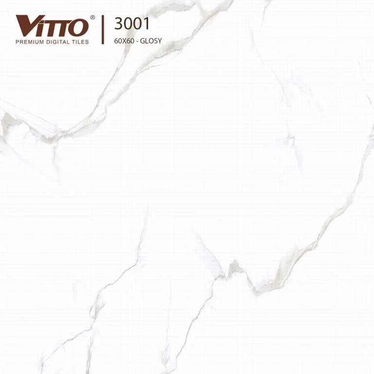 ach-vitto-60x60-ma-3001