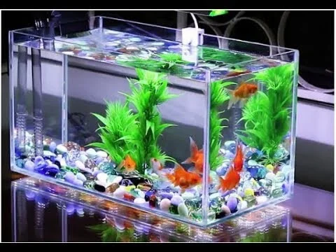 Đèn soi bể cá - Đèn rọi bể cá mini - Đèn led rọi bể cá