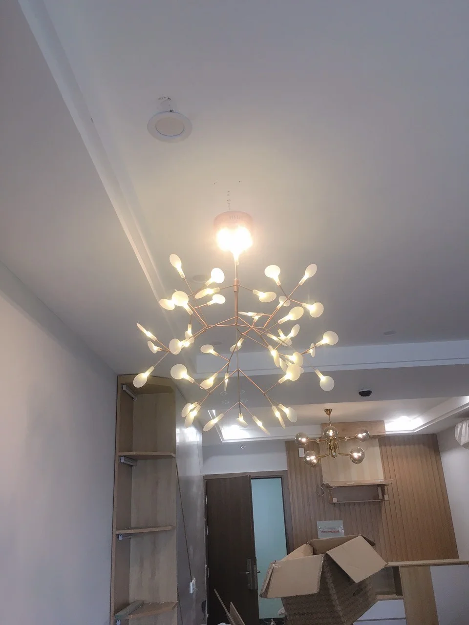 Đèn Hera 45 bóng | Ảnh 3