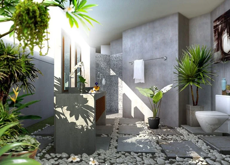 Trang trí thêm cây xanh trong phòng