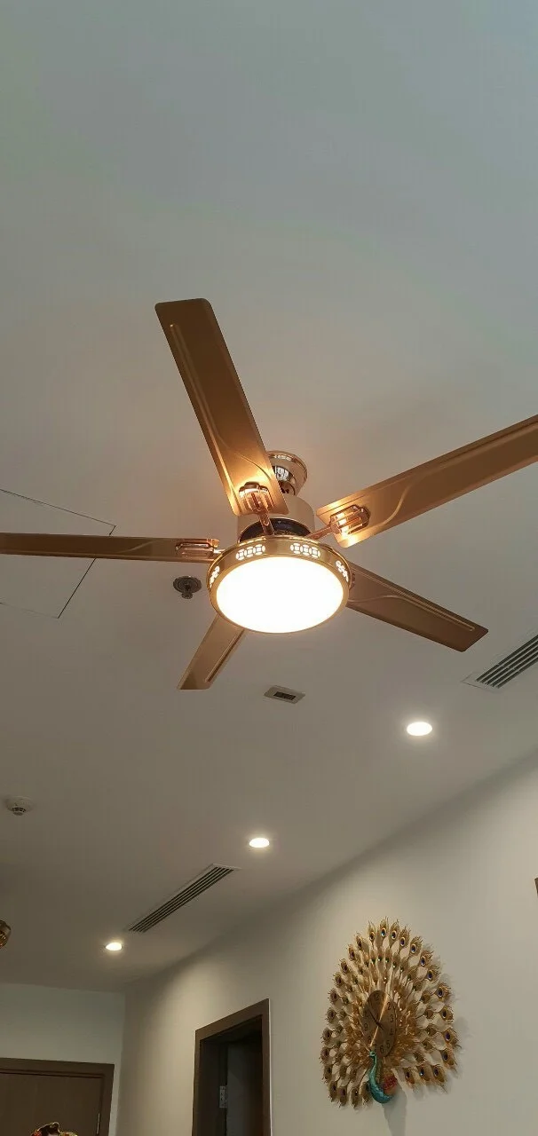 z3411375315603-b87088d714fe404de7299c2d0f25b3aa