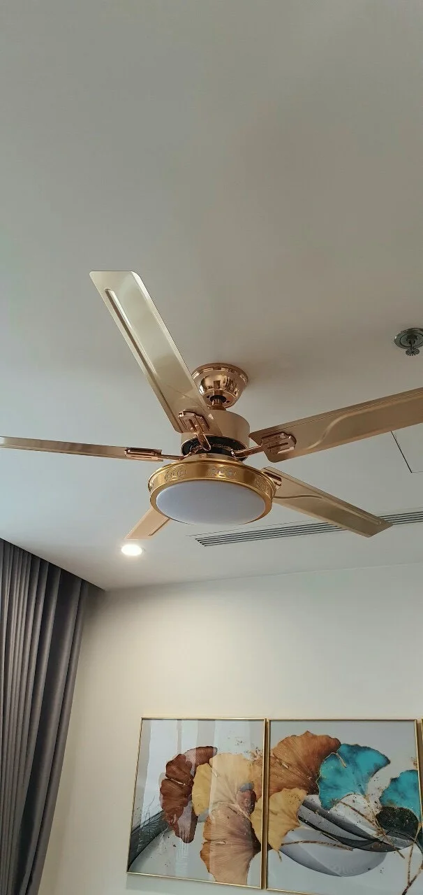 z3411375317251-cd3f4055fbb2f6be99e26617960d9107