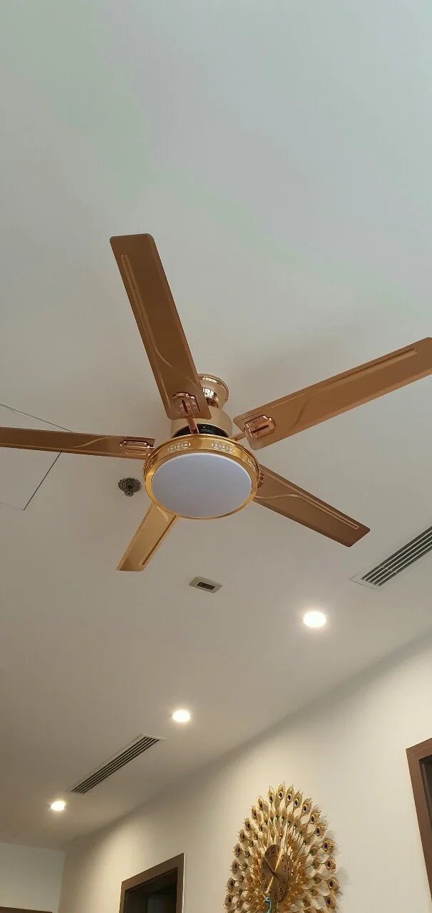 z3411375325671-bff42b1759b8e21869c7d806478c4684