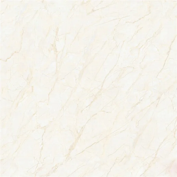 gach-vitto-60x60-ma-h642
