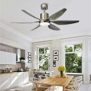 den-quat-tran-htq-20