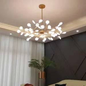 z2133677784432-b77cdc7df26203b8b84b583899dbd99d