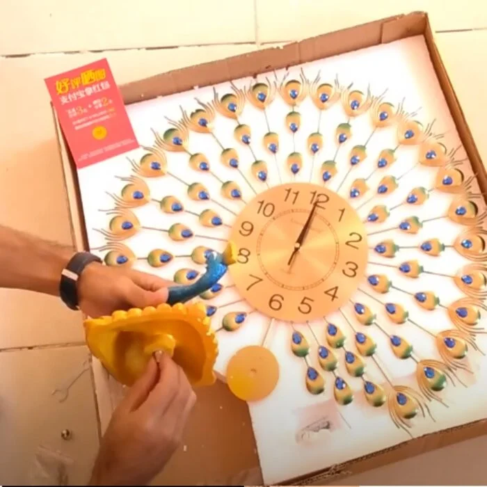 lắp đồng hồ con công